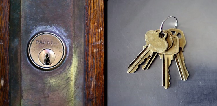 Simetría de la vida